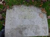 image of grave number 599958